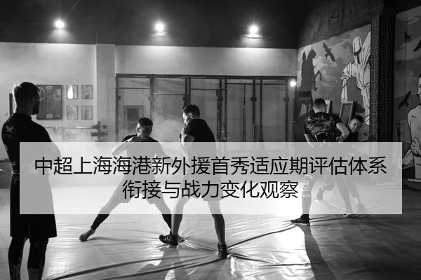 zhong-chao-shang-hai-hai-gang-xin-wai-yuan-shou-xiu-shi-ying-qi-ping-gu-ti-xi-xian-jie-yu-zhan-li-bian-hua-guan-cha-2-564.jpg